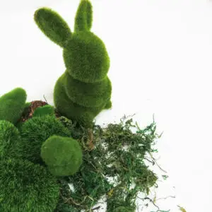 Moss Products