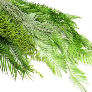Hanging Plants