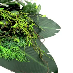 Plants & Leaves